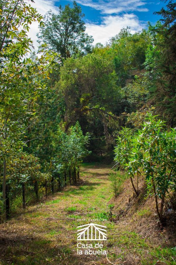 Hotel Campestre Casa De La Abuela La Capilla  Ngoại thất bức ảnh