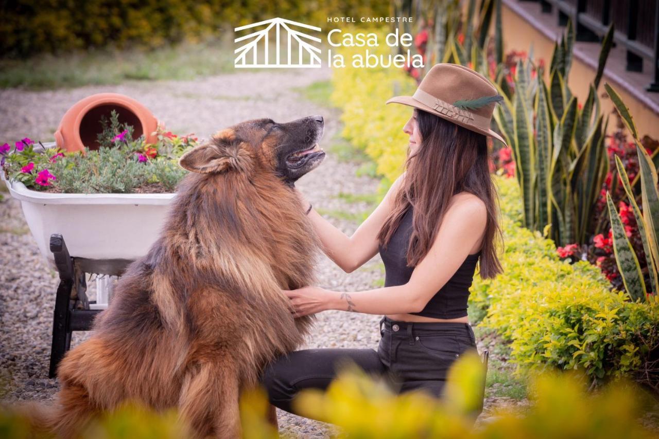 Hotel Campestre Casa De La Abuela La Capilla  Ngoại thất bức ảnh